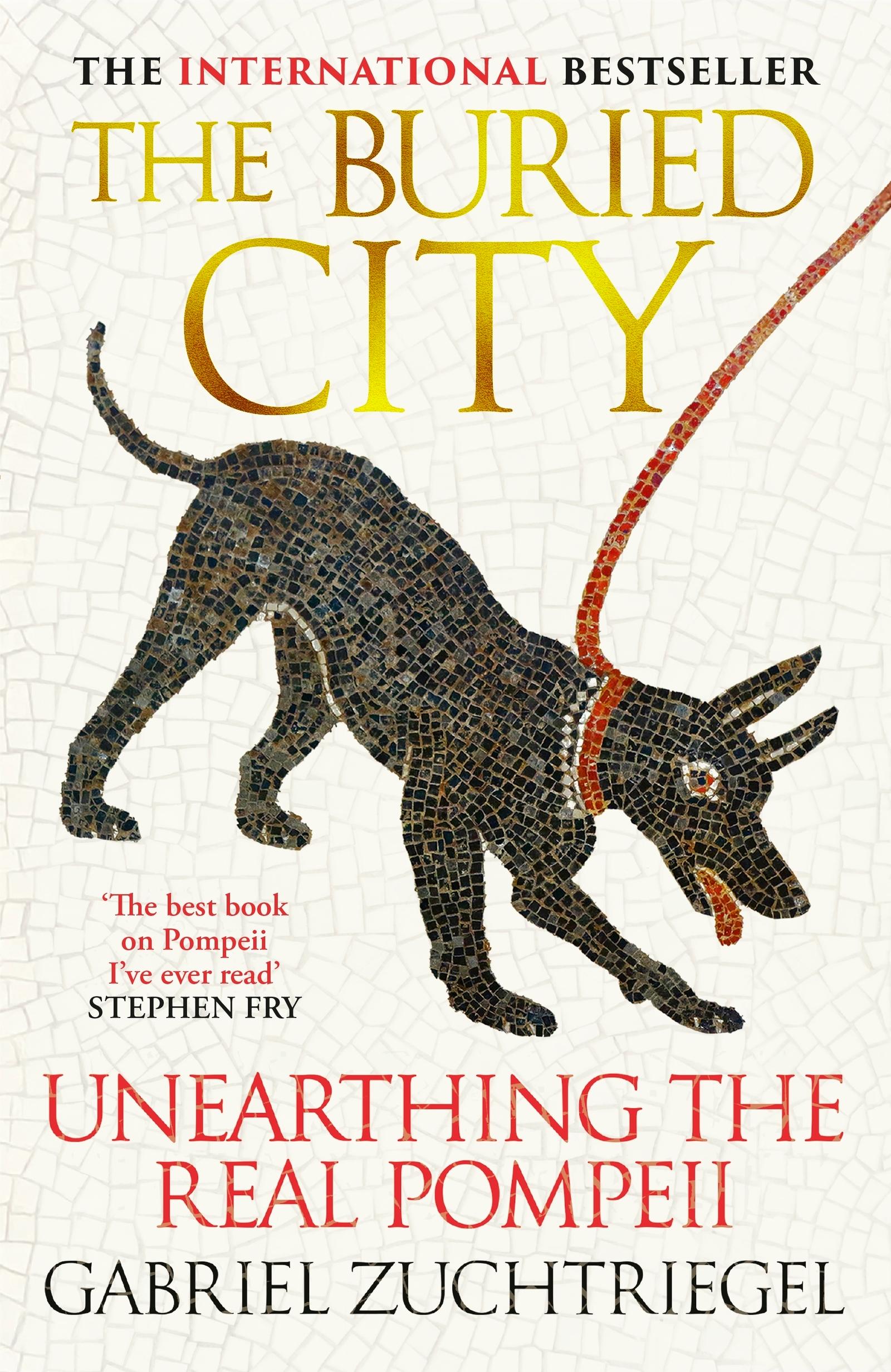 Vorderes Coverbild The Buried City