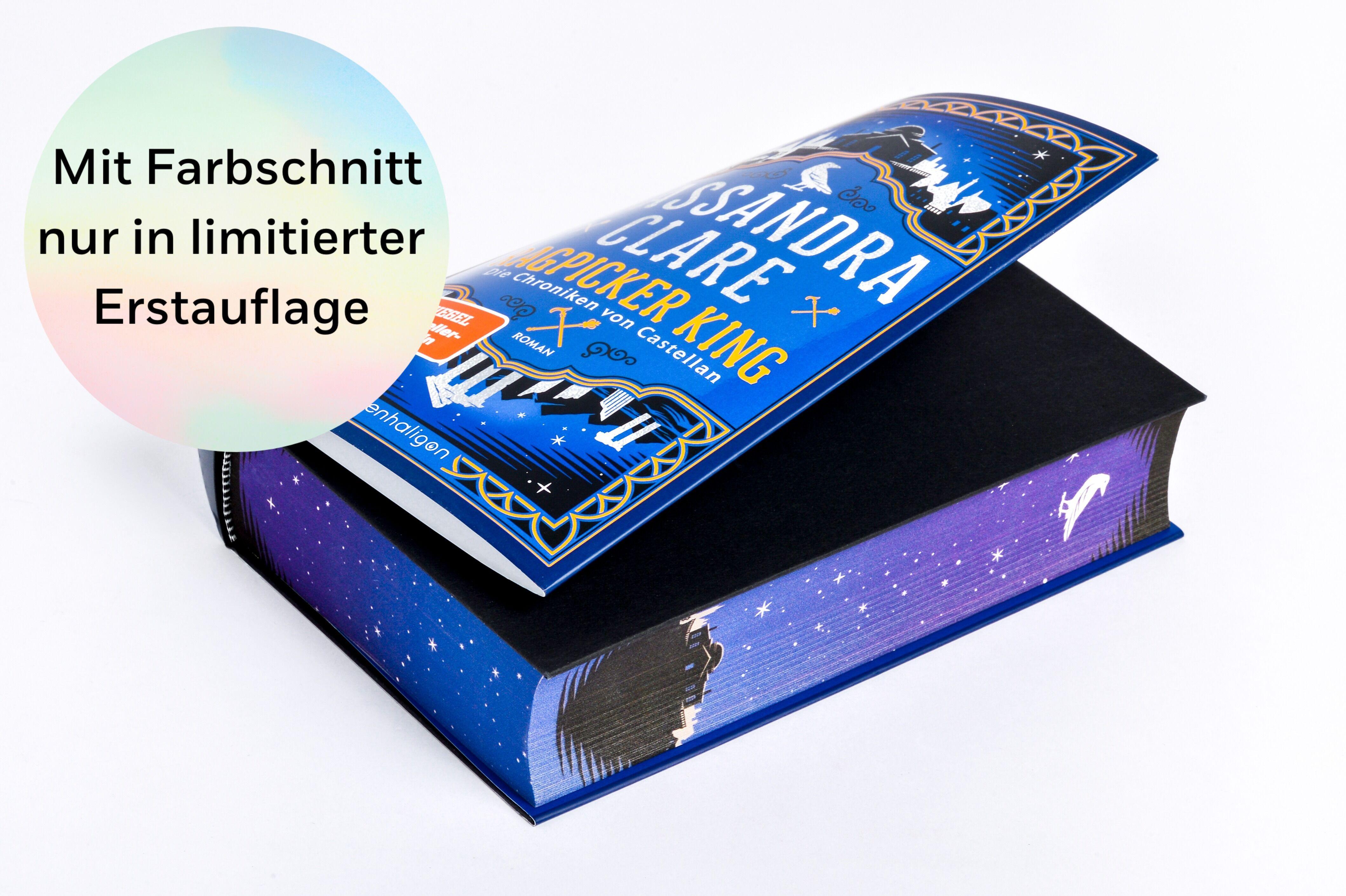 Beispielinhalt (Bild) Ragpicker King - Die Chroniken von Castellan