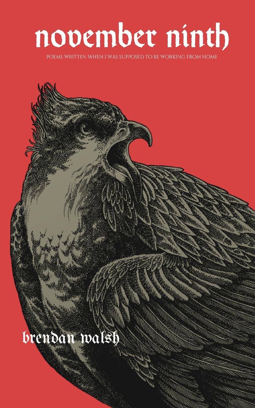 Vorderes Coverbild november ninth