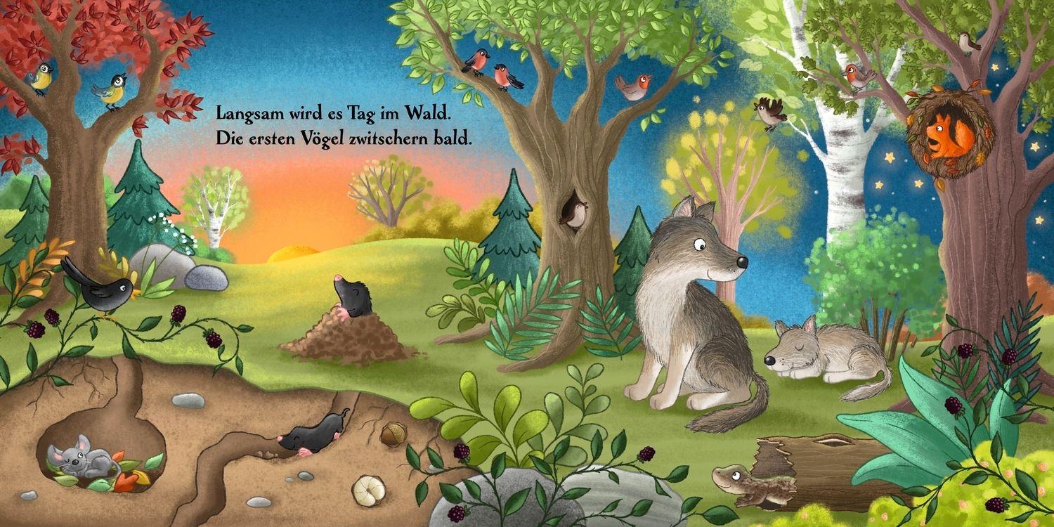 Beispielinhalt (Bild) Es wird Tag hier im Wald