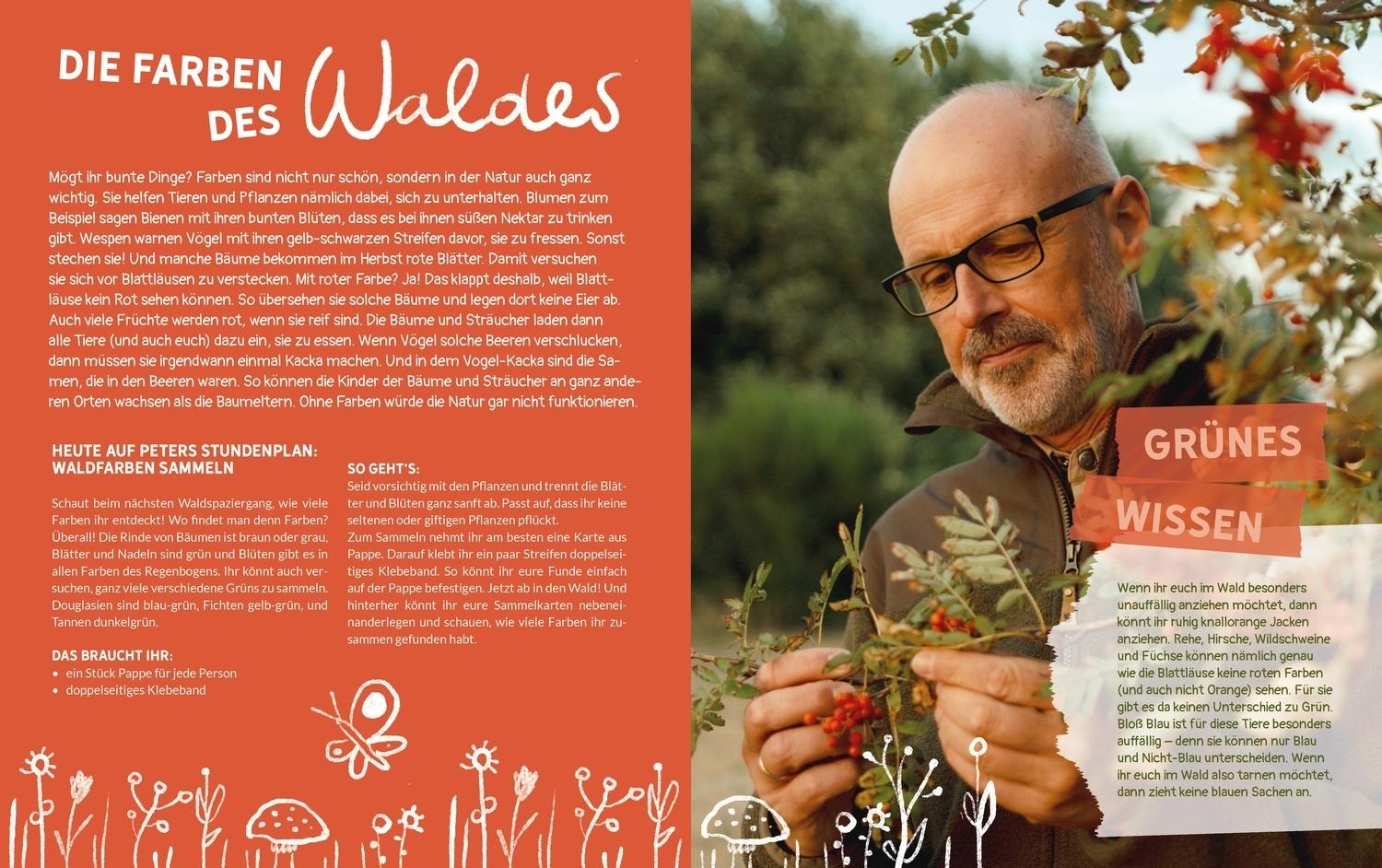 Beispielinhalt (Bild) Peter Wohllebens Schule des Waldes