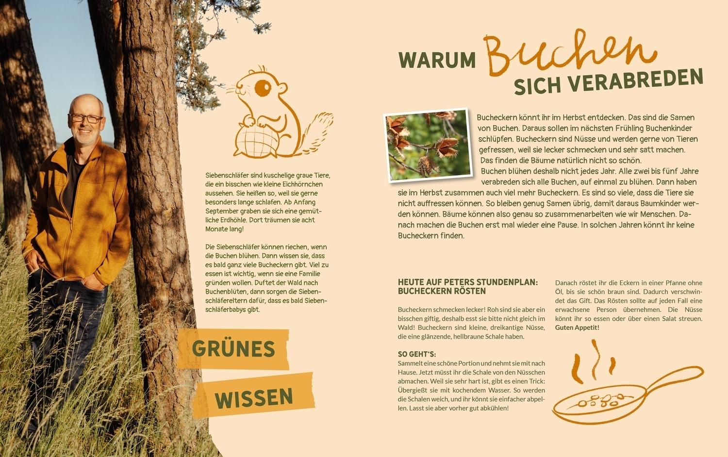Beispielinhalt (Bild) Peter Wohllebens Schule des Waldes