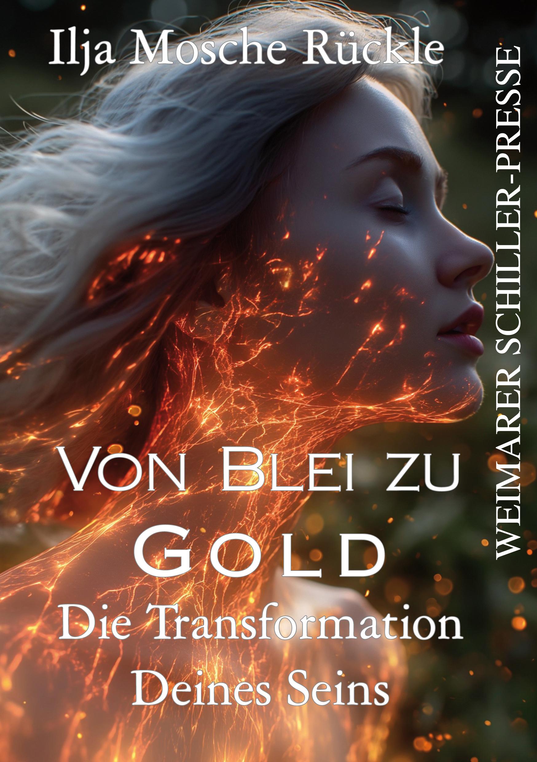 Vorderes Coverbild Von Blei zu Gold
