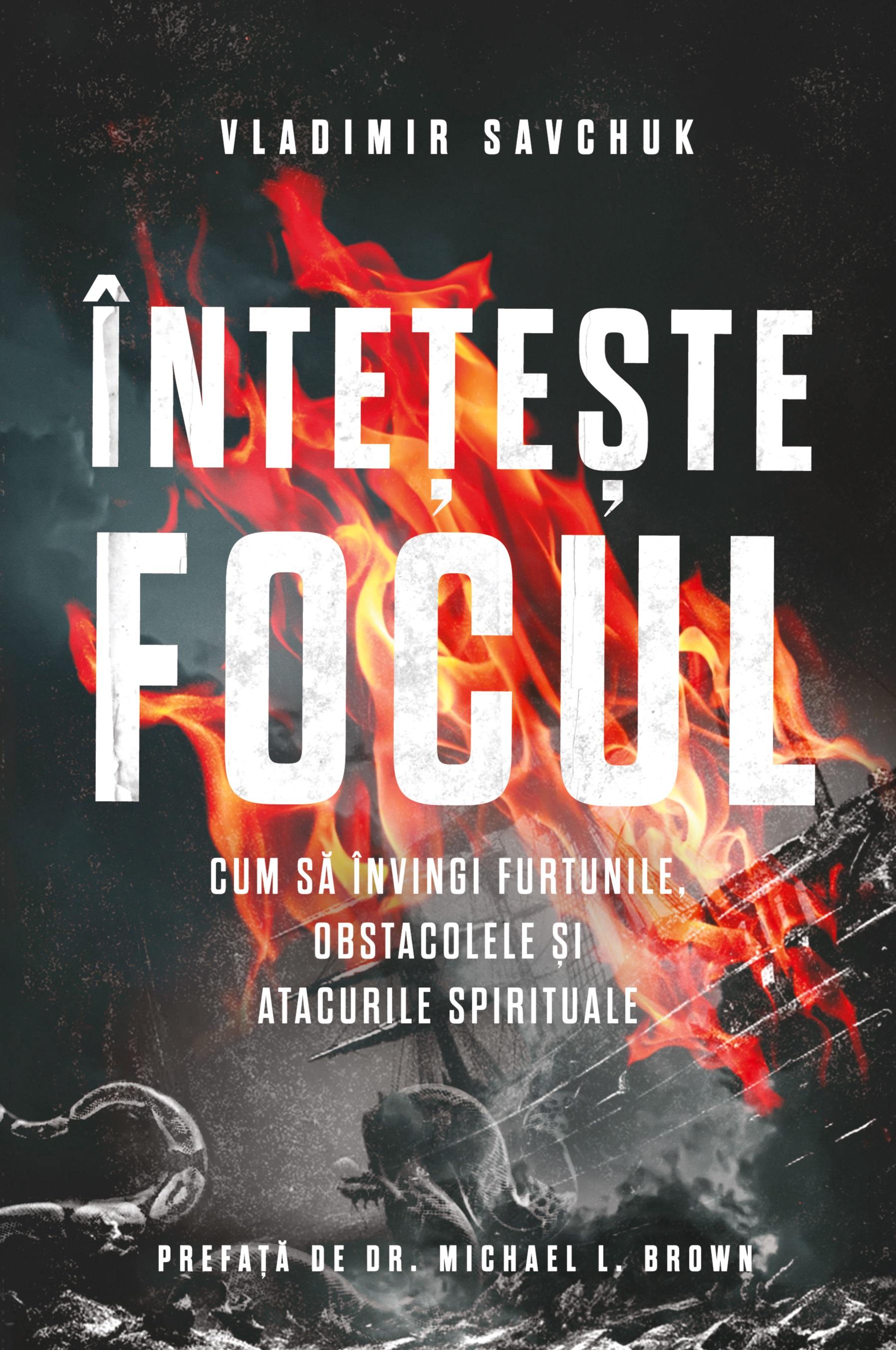 Vorderes Coverbild Build Fire (Romanian Edition)