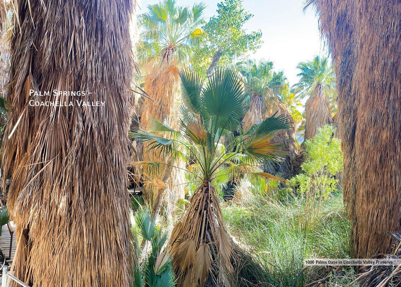 Beispielinhalt (Bild) USA - Kalifornien