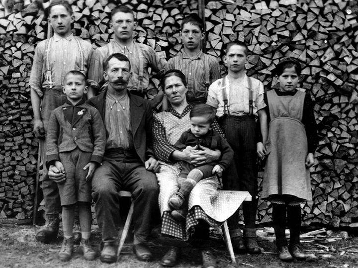 Beispielinhalt (Bild) Faszination Holz