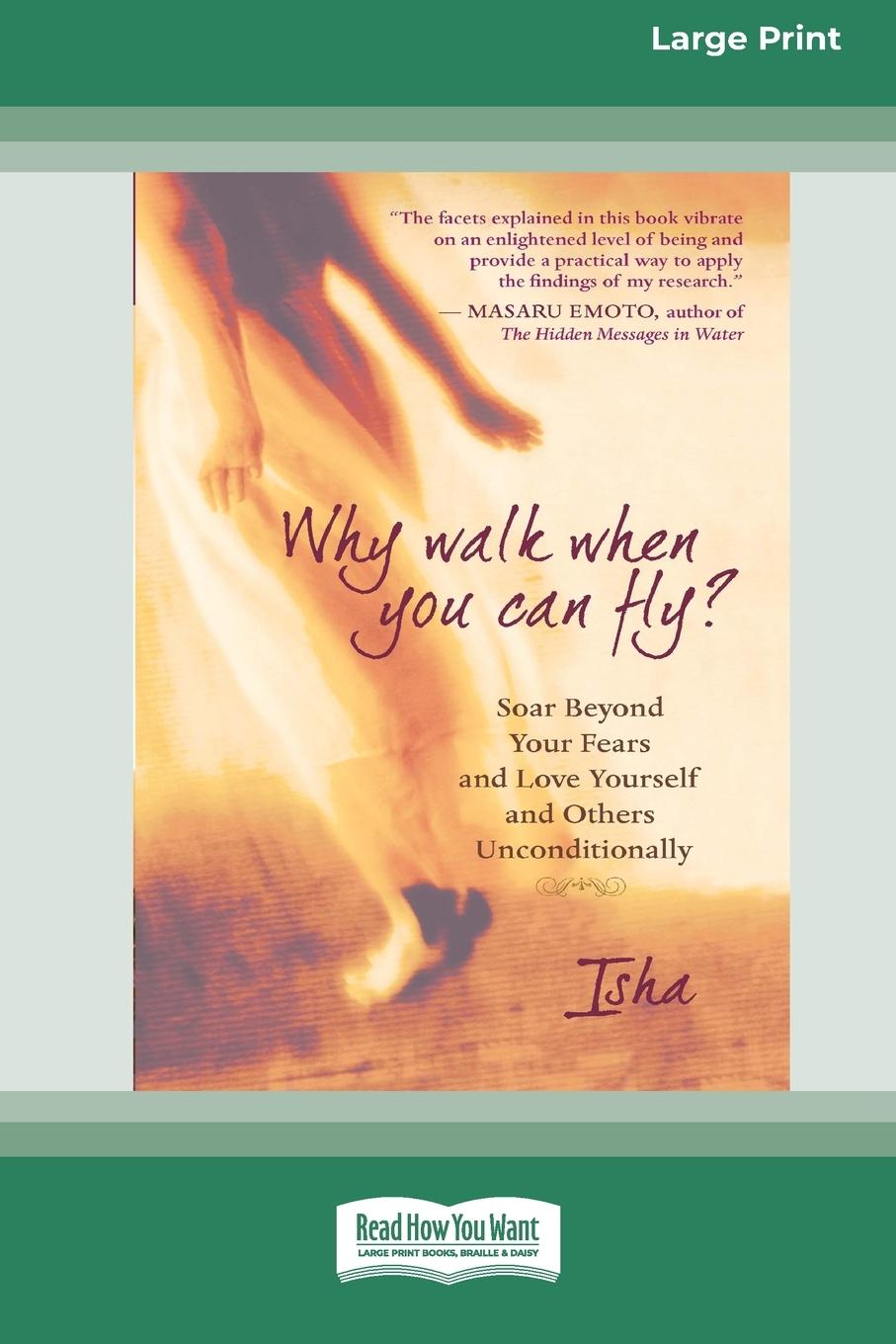 Vorderes Coverbild Why Walk When You Can Fly?