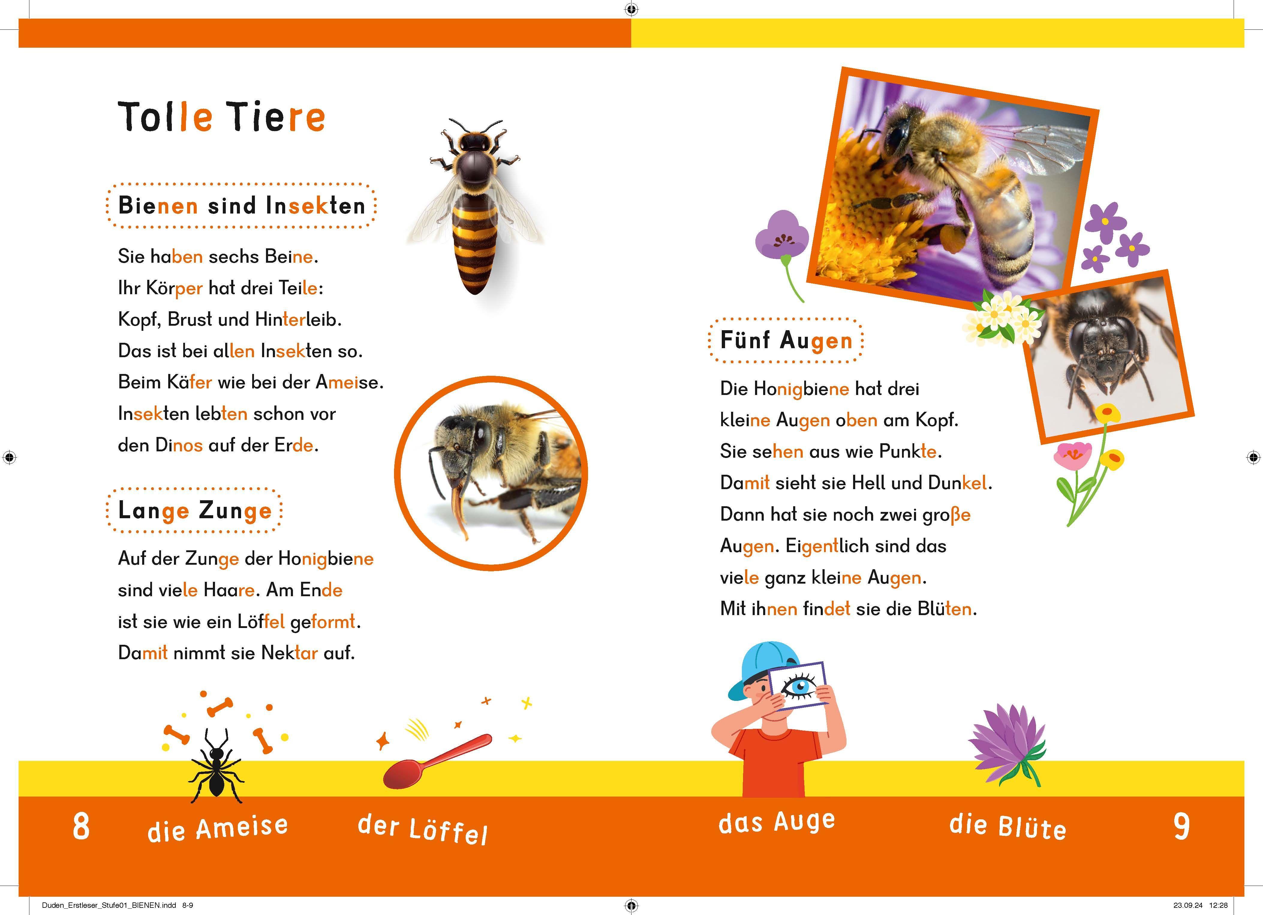 Beispielinhalt (Bild) Dein Lesestart: Weißt du schon alles über Bienen? Ab 1. Klasse