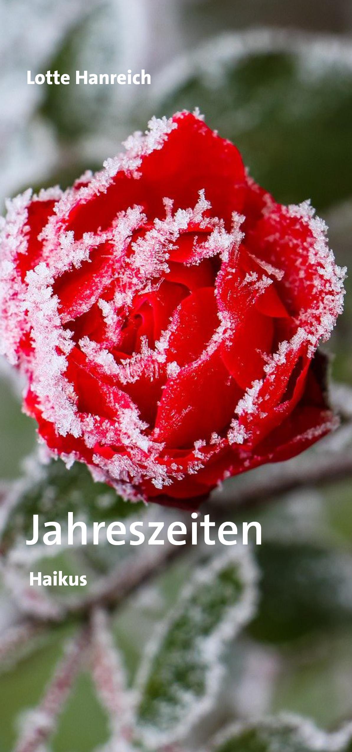 Vorderes Coverbild Jahreszeiten