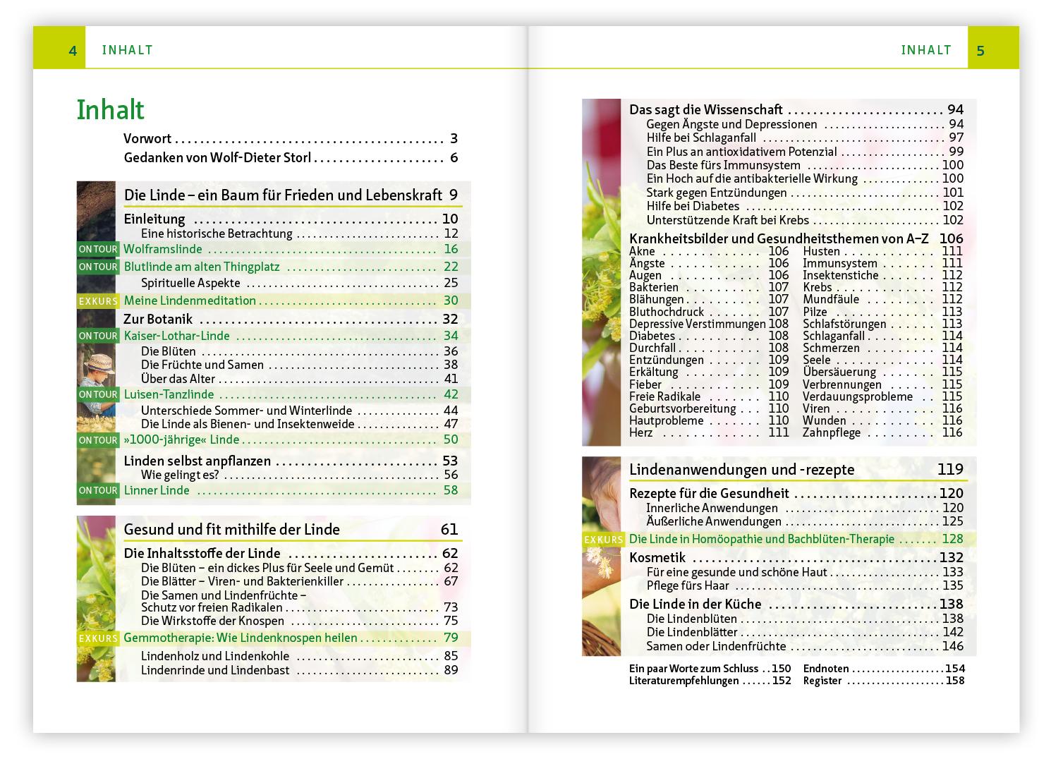 Beispielinhalt (Bild) Die Linde - Baum der Heilung und Harmonie