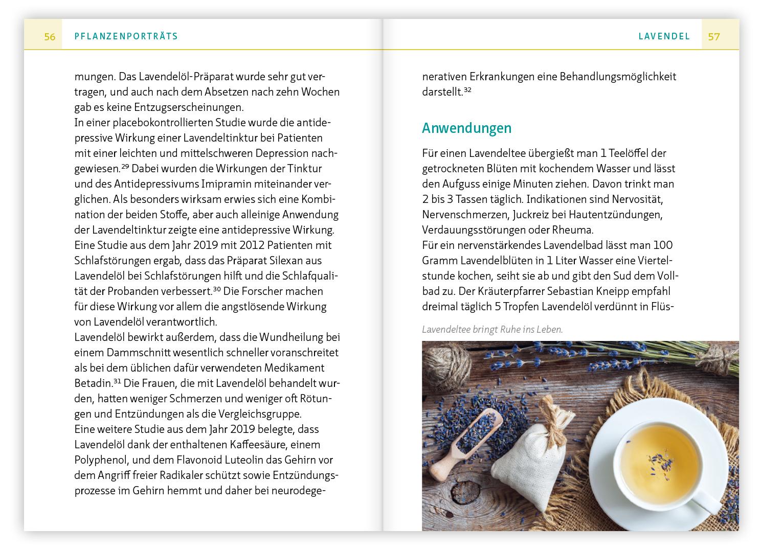 Beispielinhalt (Bild) Heilsame Küchenkräuter