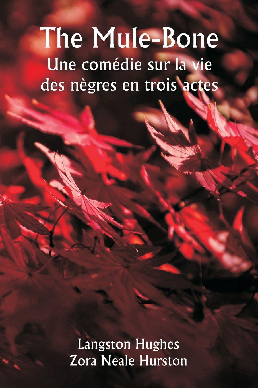 Vorderes Coverbild The Mule-Bone  Une comédie sur la vie des nègres en trois actes