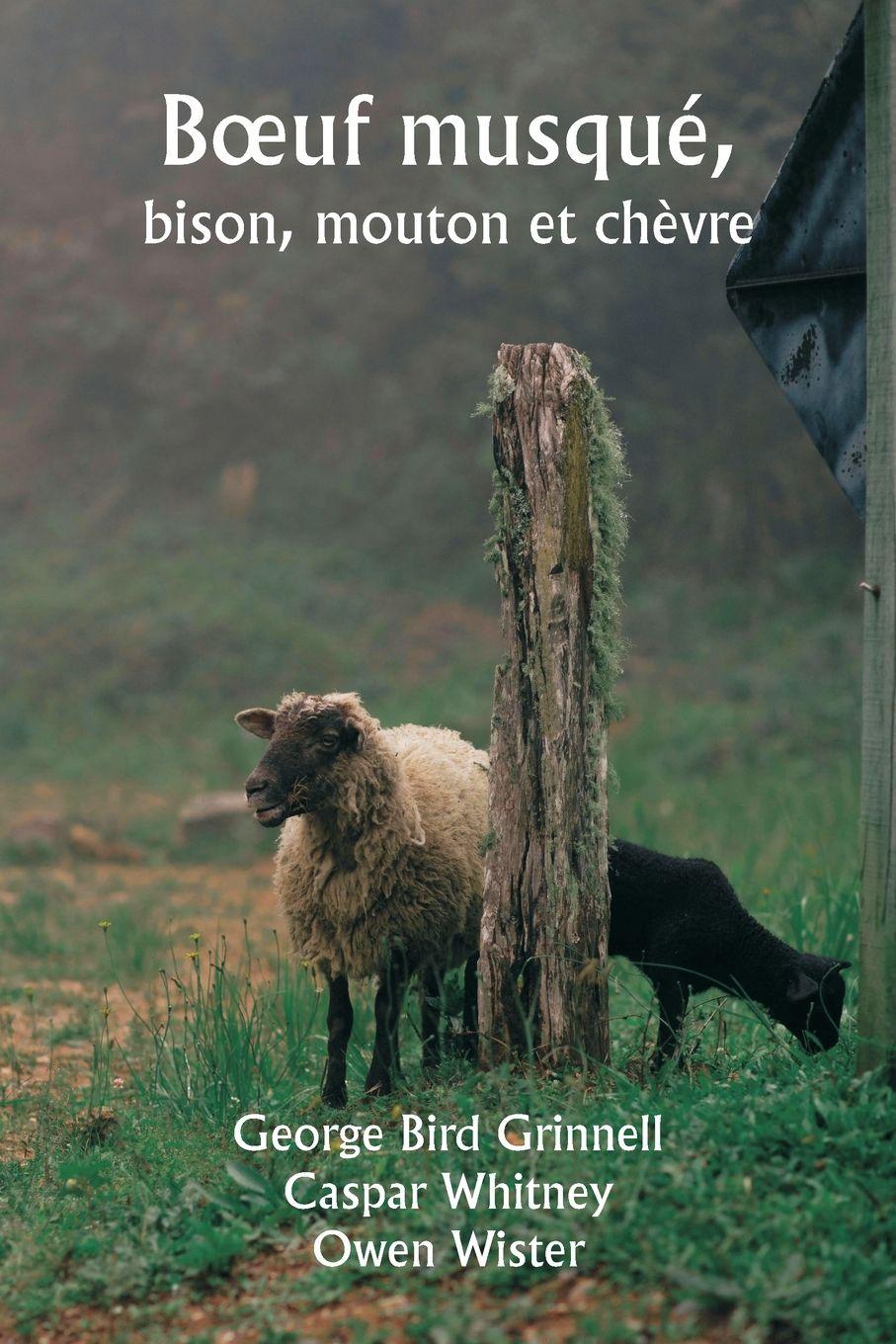 Vorderes Coverbild B¿uf musqué,  bison, mouton et chèvre