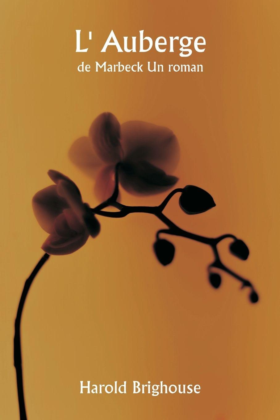 Vorderes Coverbild L' Auberge  de Marbeck Un roman
