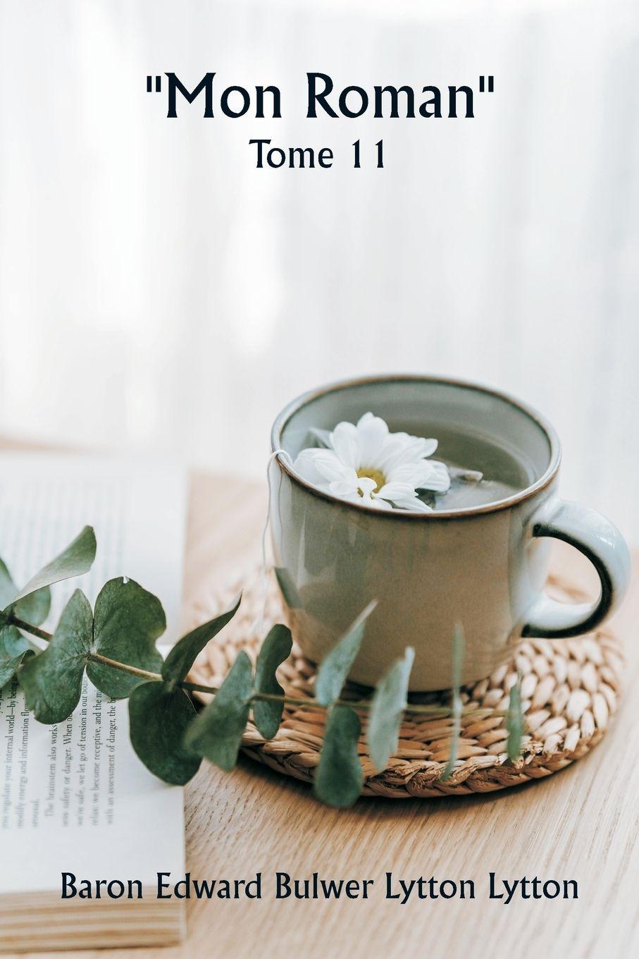 Vorderes Coverbild ""Mon roman""  Tome 11