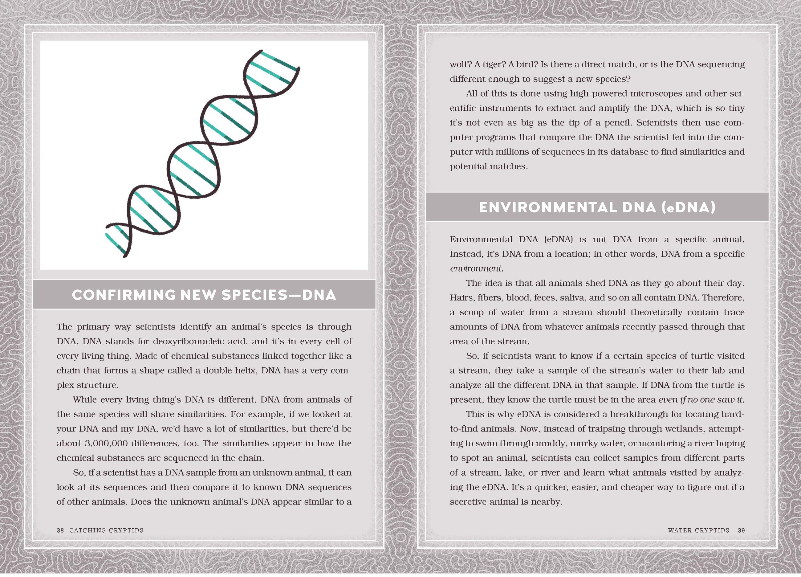 Beispielinhalt (Bild) Catching Cryptids