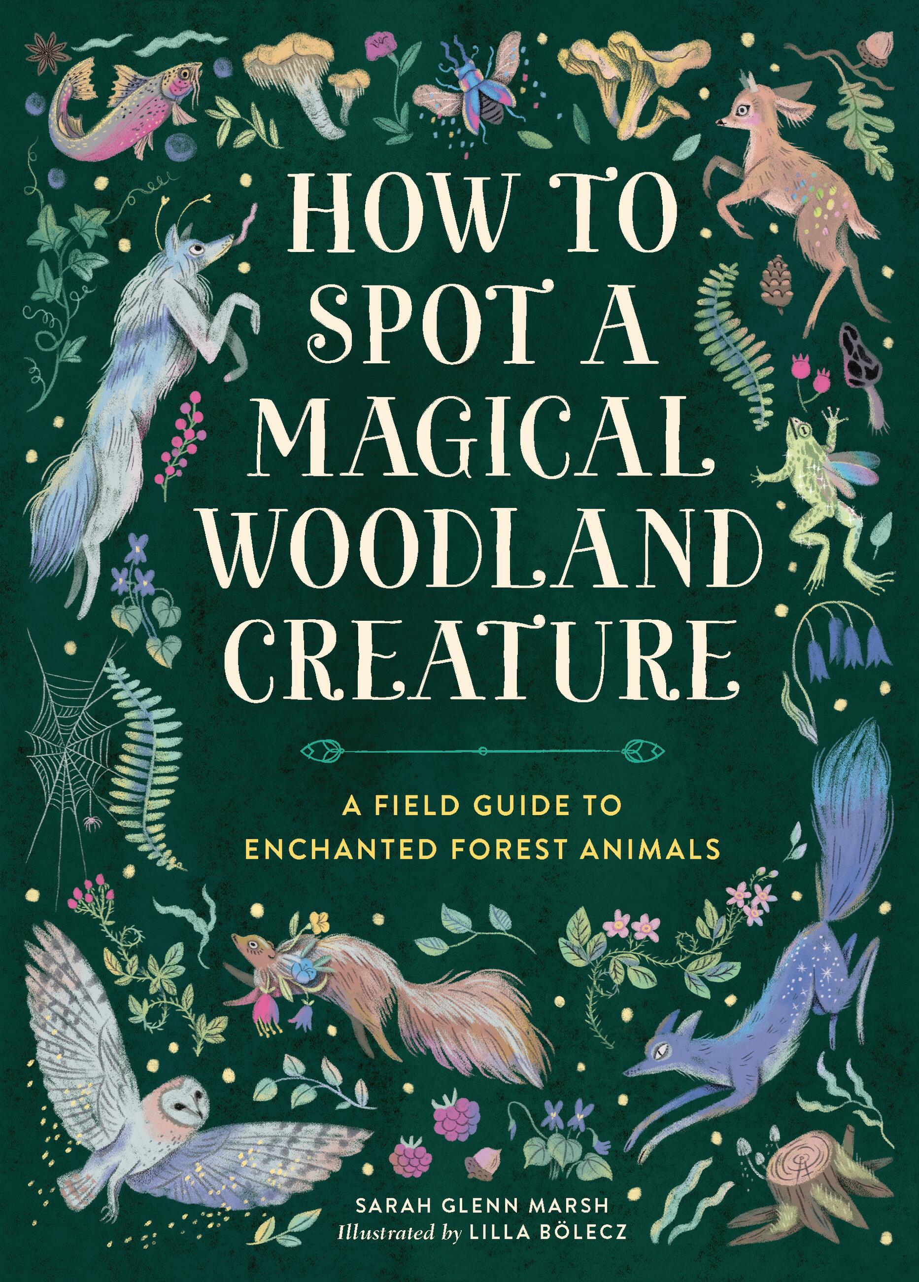 Vorderes Coverbild How to Spot a Magical Woodland Creature
