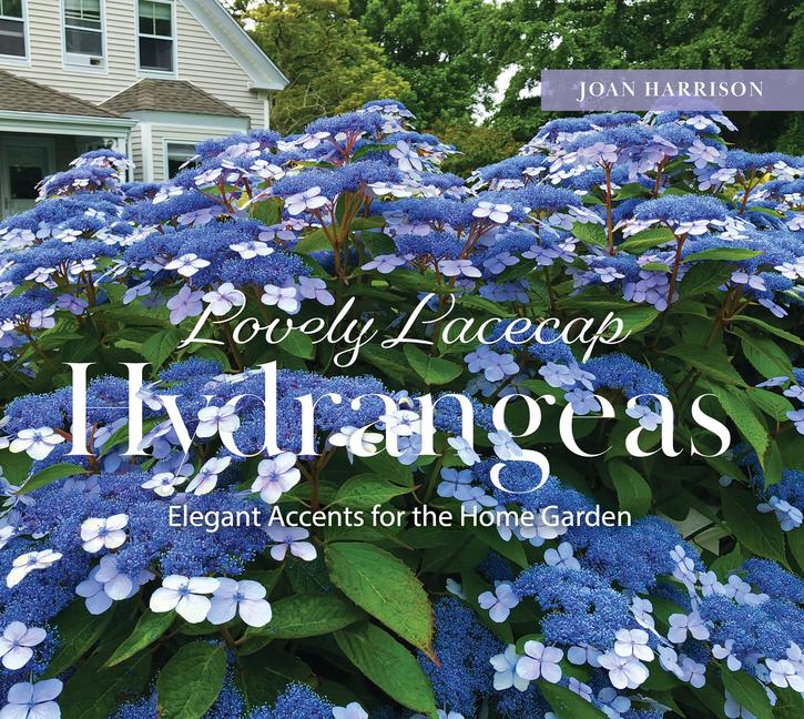Vorderes Coverbild Lovely Lacecap Hydrangeas