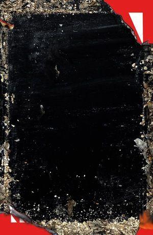 Vorderes Coverbild Baron Wenckheim's Homecoming