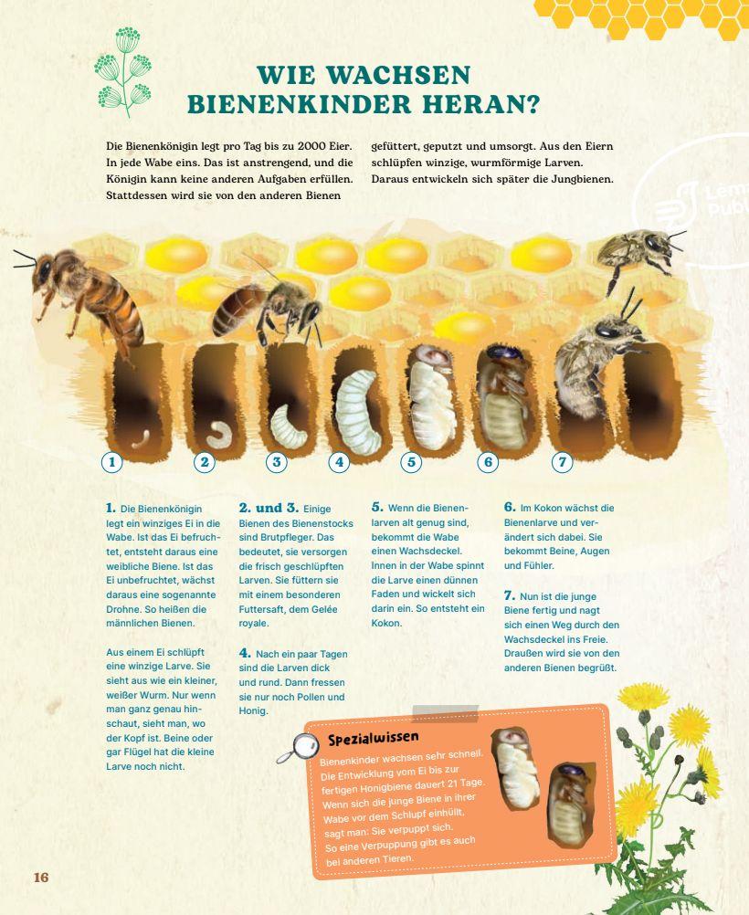 Beispielinhalt (Bild) Bienen