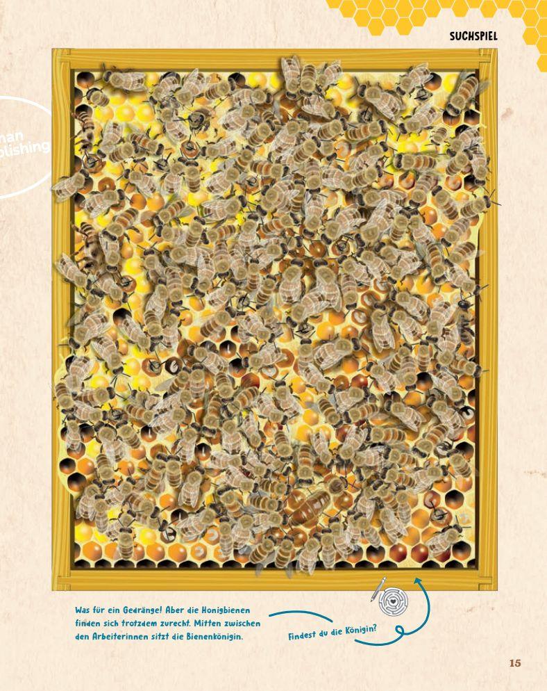 Beispielinhalt (Bild) Bienen