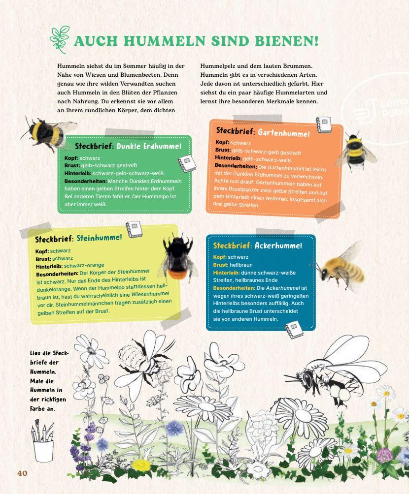 Beispielinhalt (Bild) Bienen