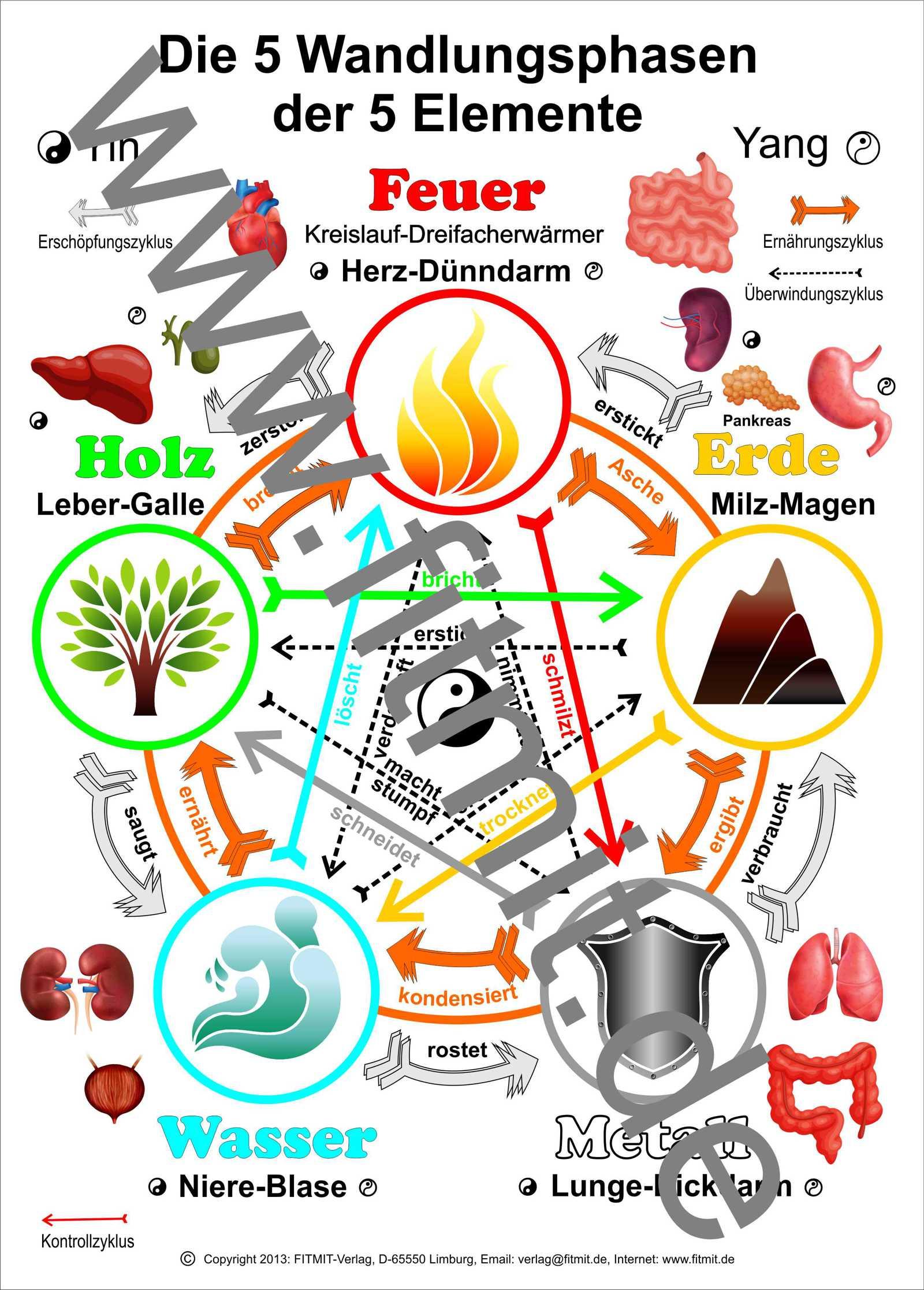 Vorderes Coverbild Die 5 Wandlungsphasen