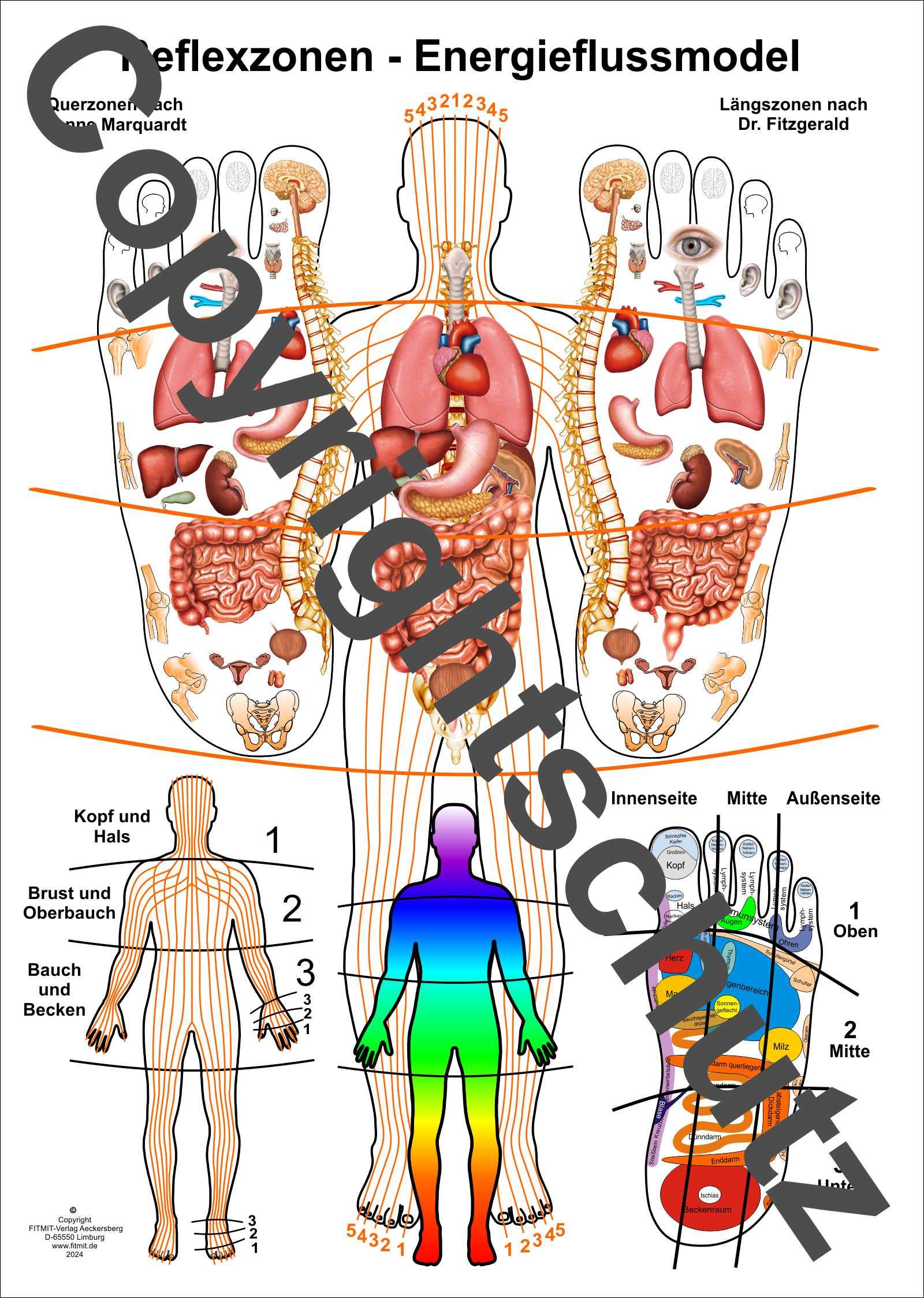 Vorderes Coverbild Reflexzonen-Energiefluss