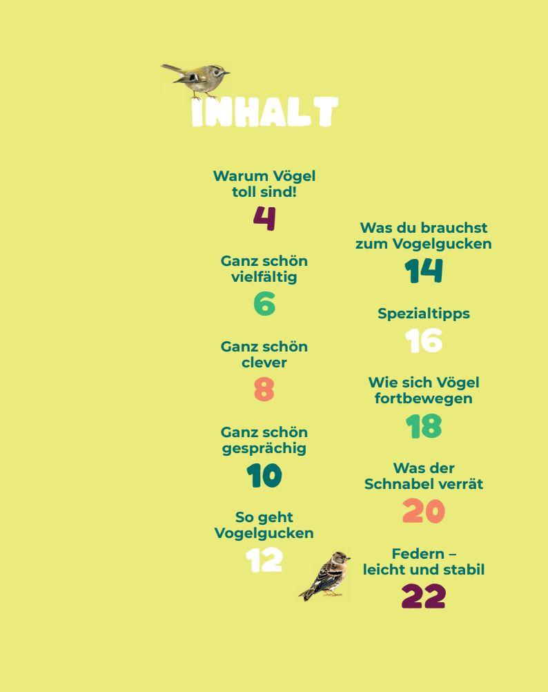 Beispielinhalt (Bild) Birding - Entdecke die Wunderwelt der Vögel.