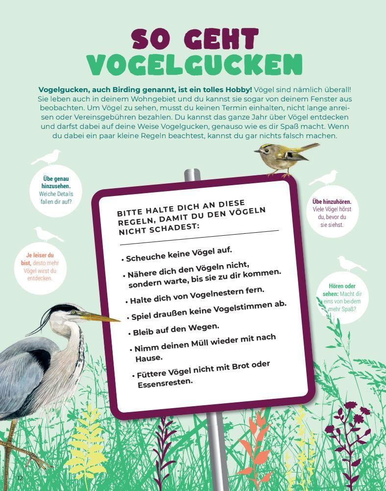 Beispielinhalt (Bild) Birding - Entdecke die Wunderwelt der Vögel.