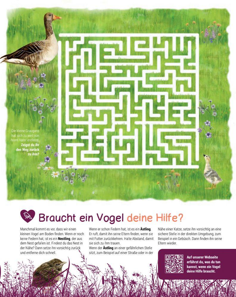 Beispielinhalt (Bild) Birding - Entdecke die Wunderwelt der Vögel.