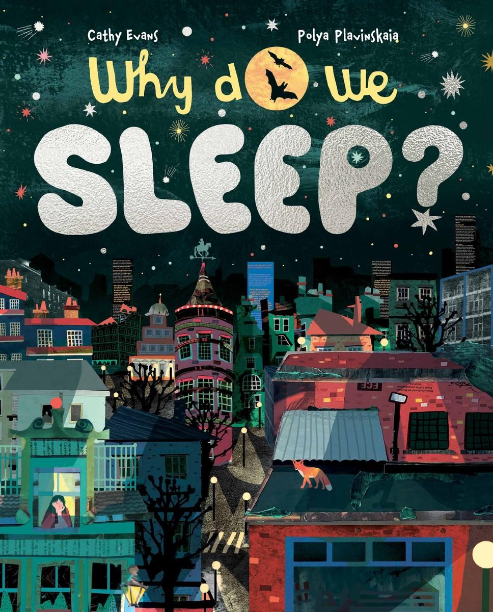 Vorderes Coverbild Why Do We Sleep?