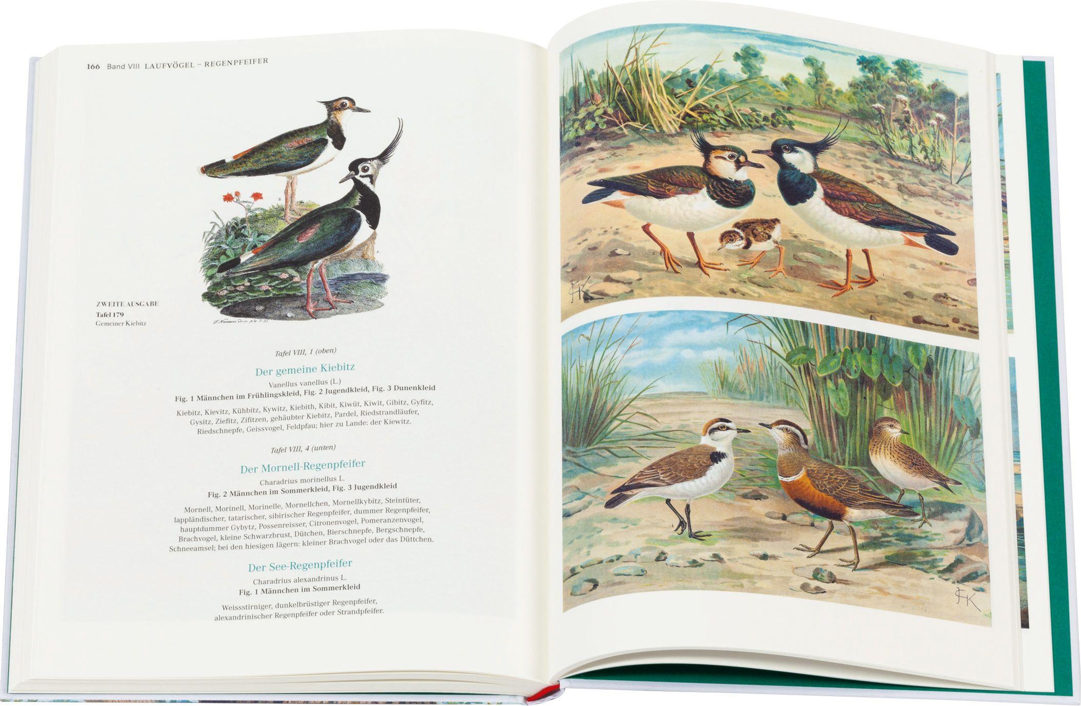 Beispielinhalt (Bild) Die Vögel Mitteleuropas (Jubiläumsausgabe)