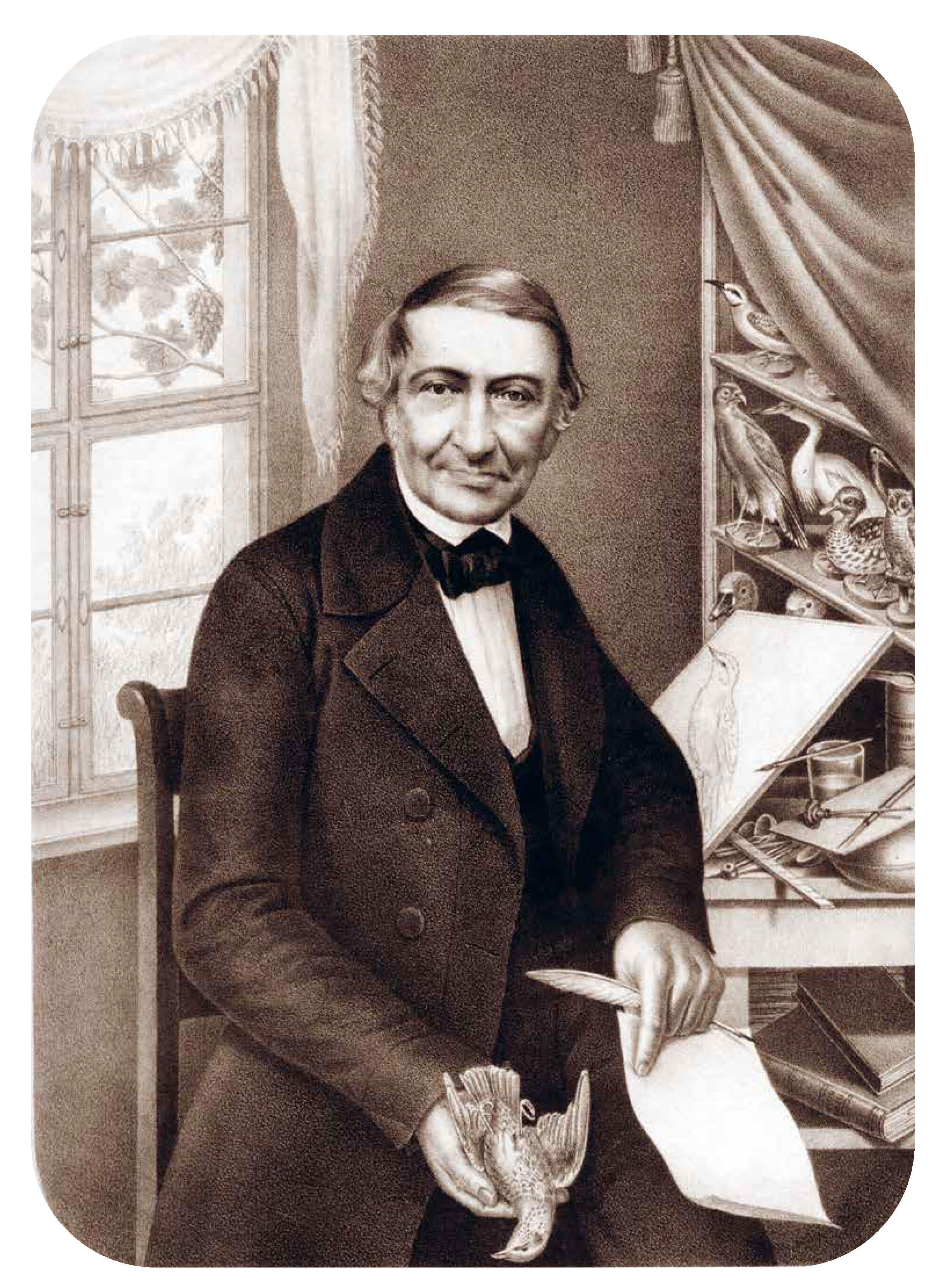 Beispielinhalt (Bild) Die Vögel Mitteleuropas (Jubiläumsausgabe)