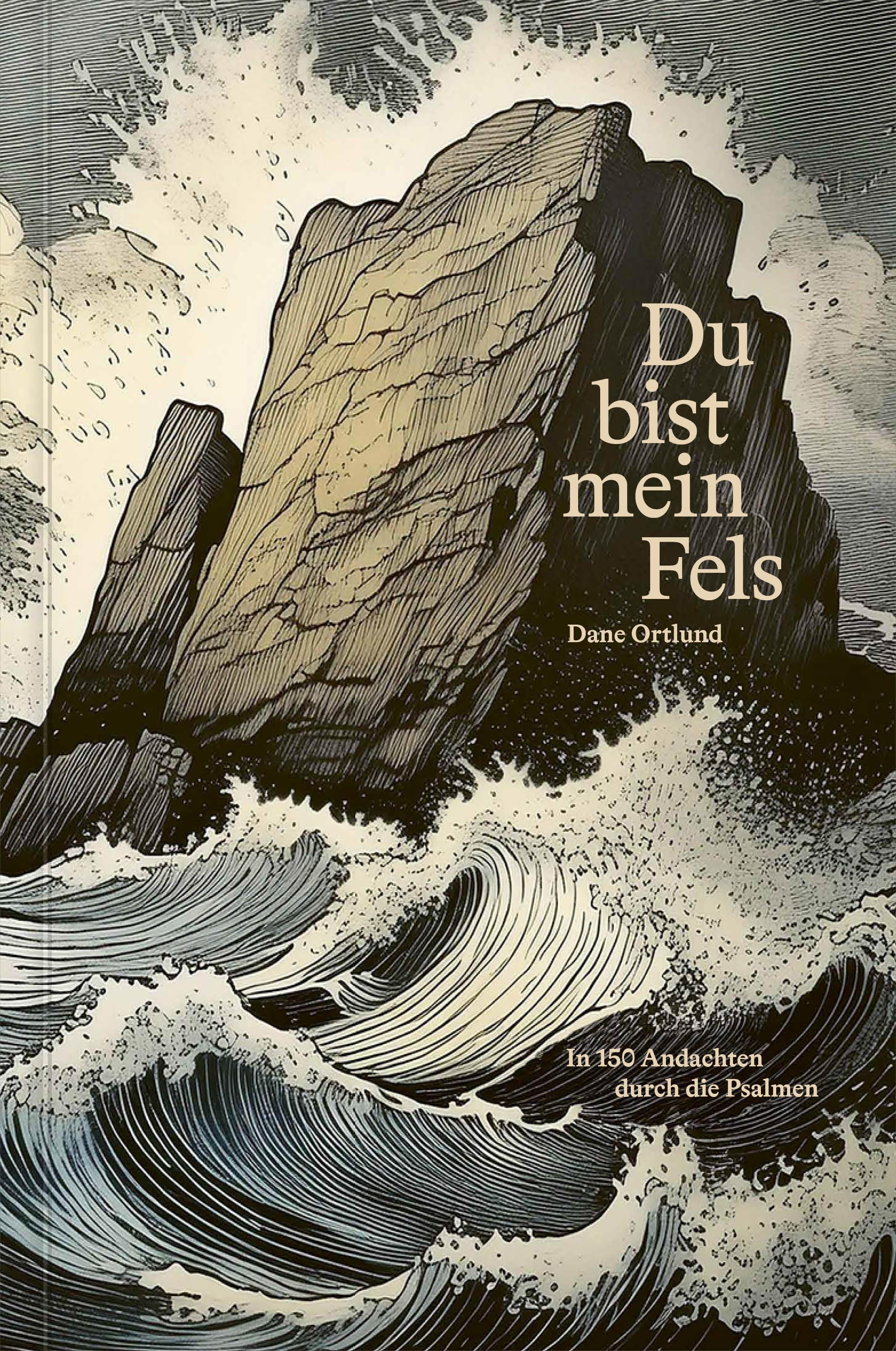 Vorderes Coverbild Du bist mein Fels