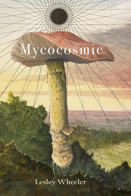 Vorderes Coverbild Mycocosmic