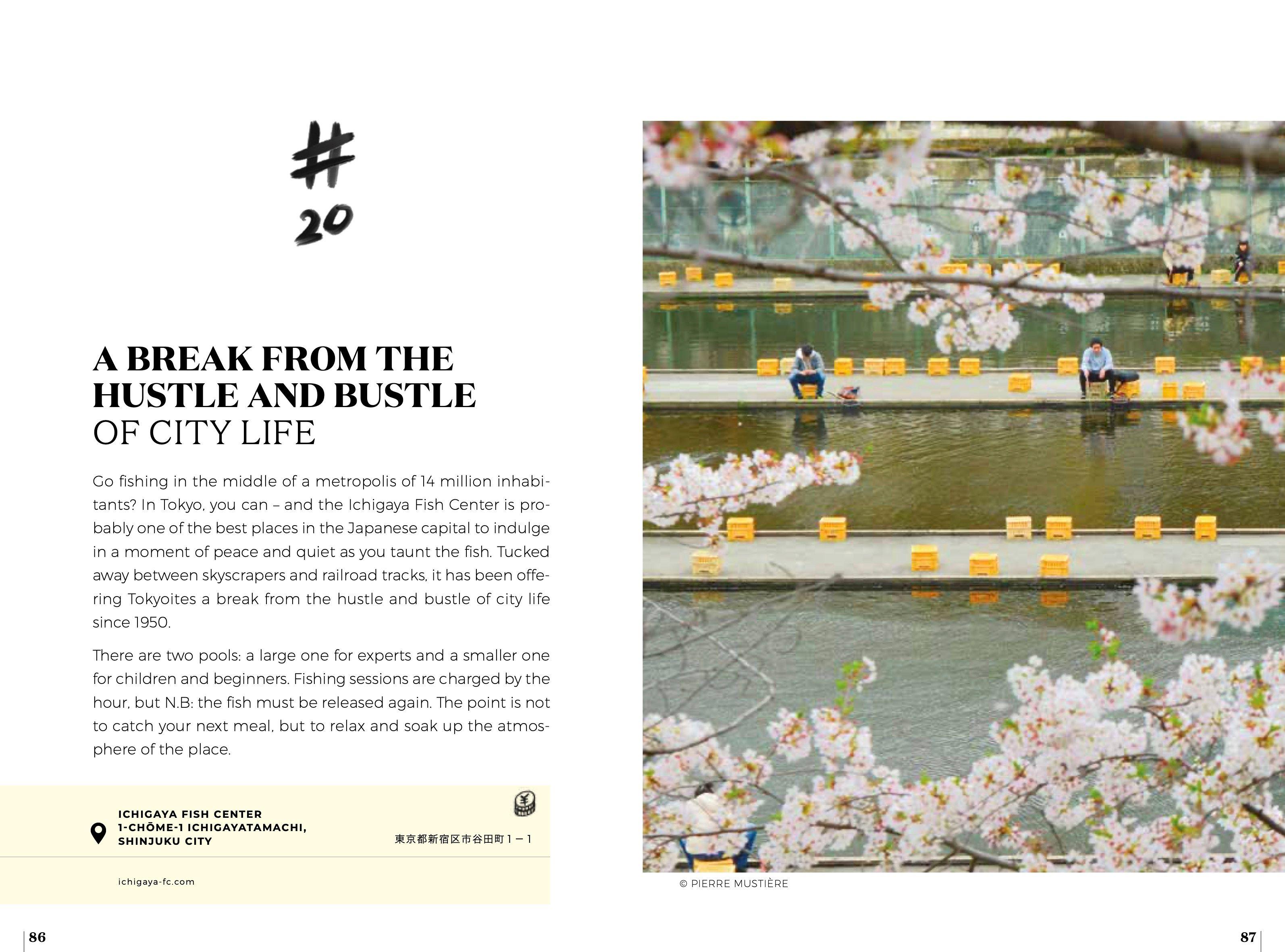 Beispielinhalt (Bild) Soul of Tokyo