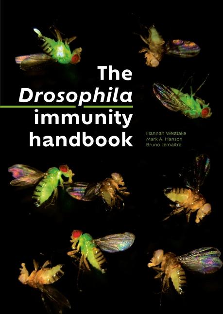 Vorderes Coverbild Drosophila Immunity Handbook