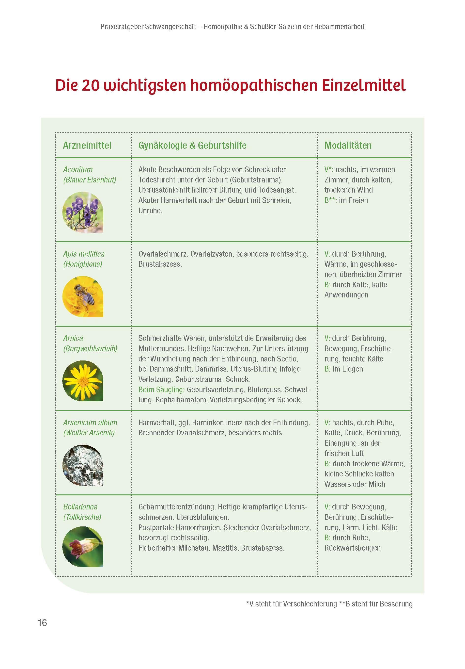Beispielinhalt (Bild) Praxisratgeber Schwangerschaft