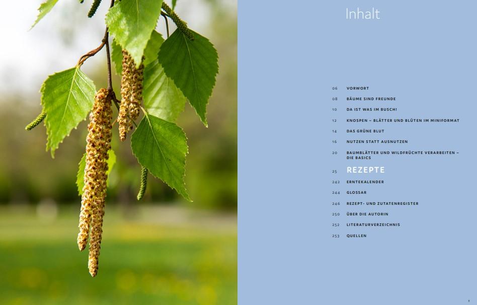 Beispielinhalt (Bild) Bäume und Sträucher vor deiner Haustür