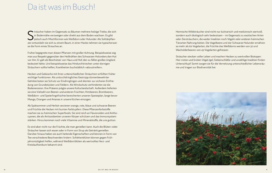 Beispielinhalt (Bild) Bäume und Sträucher vor deiner Haustür