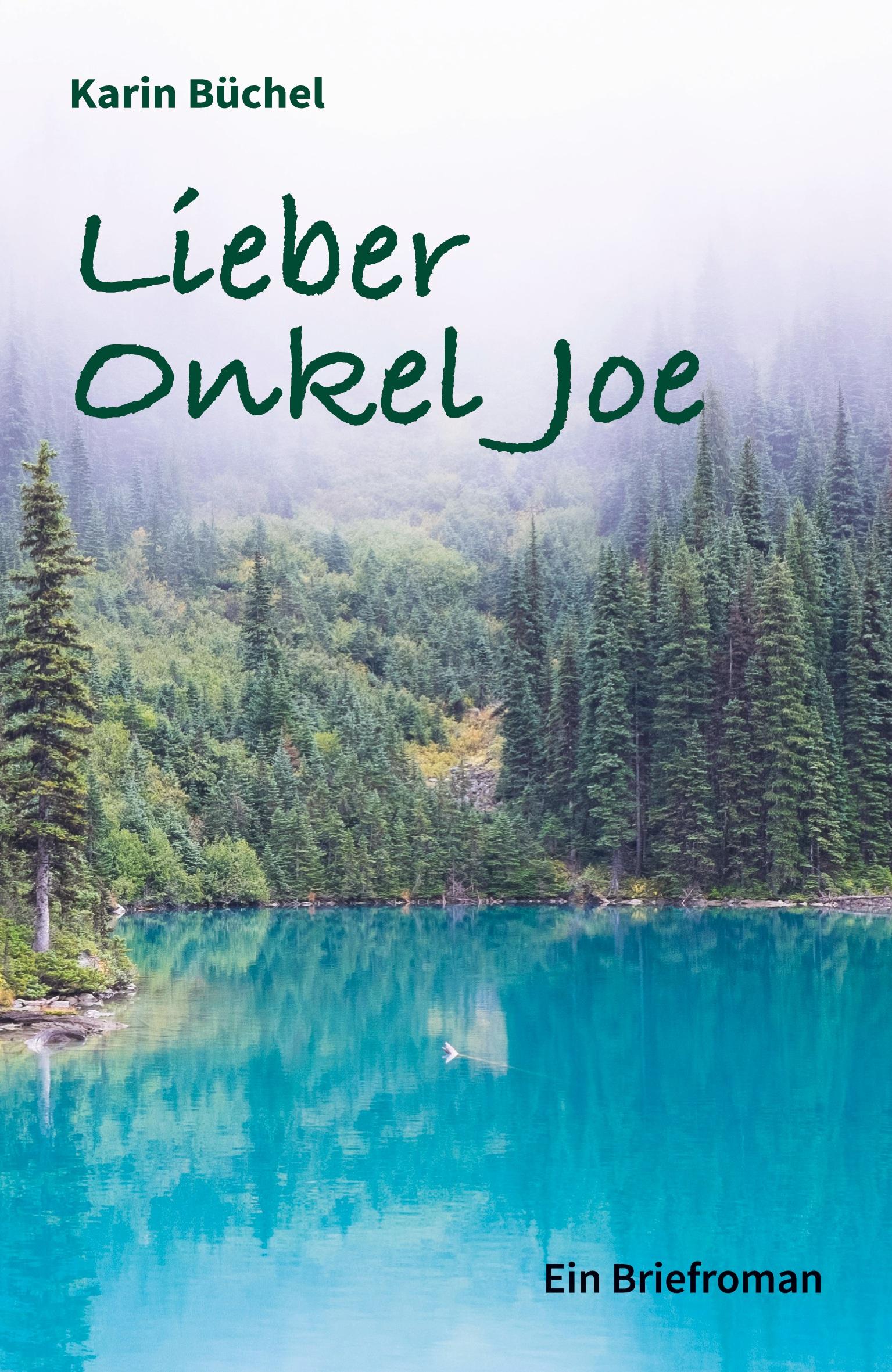 Vorderes Coverbild Lieber Onkel Joe