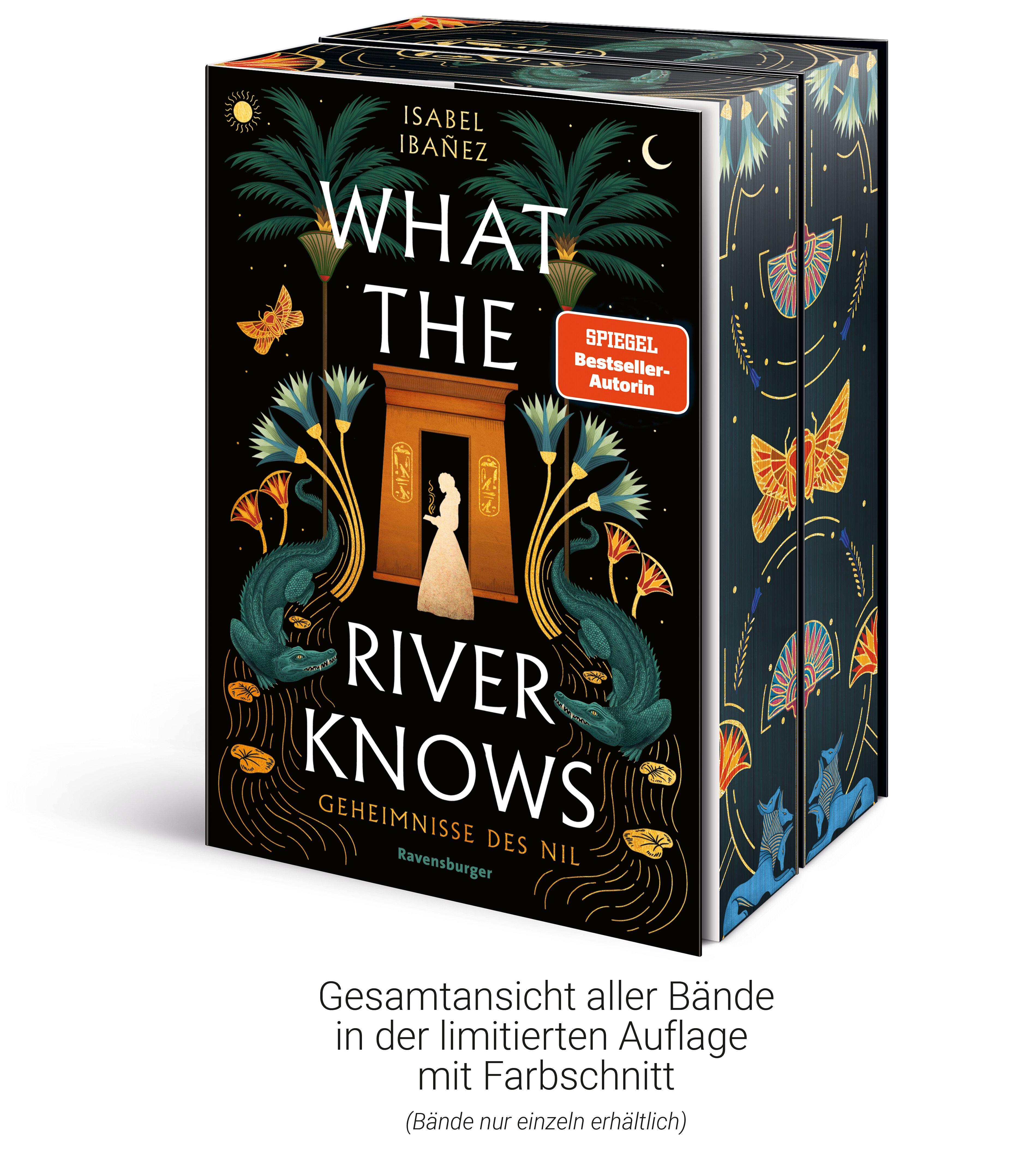 Beispielinhalt (Bild) Geheimnisse des Nil, Band 1 - What the River Knows