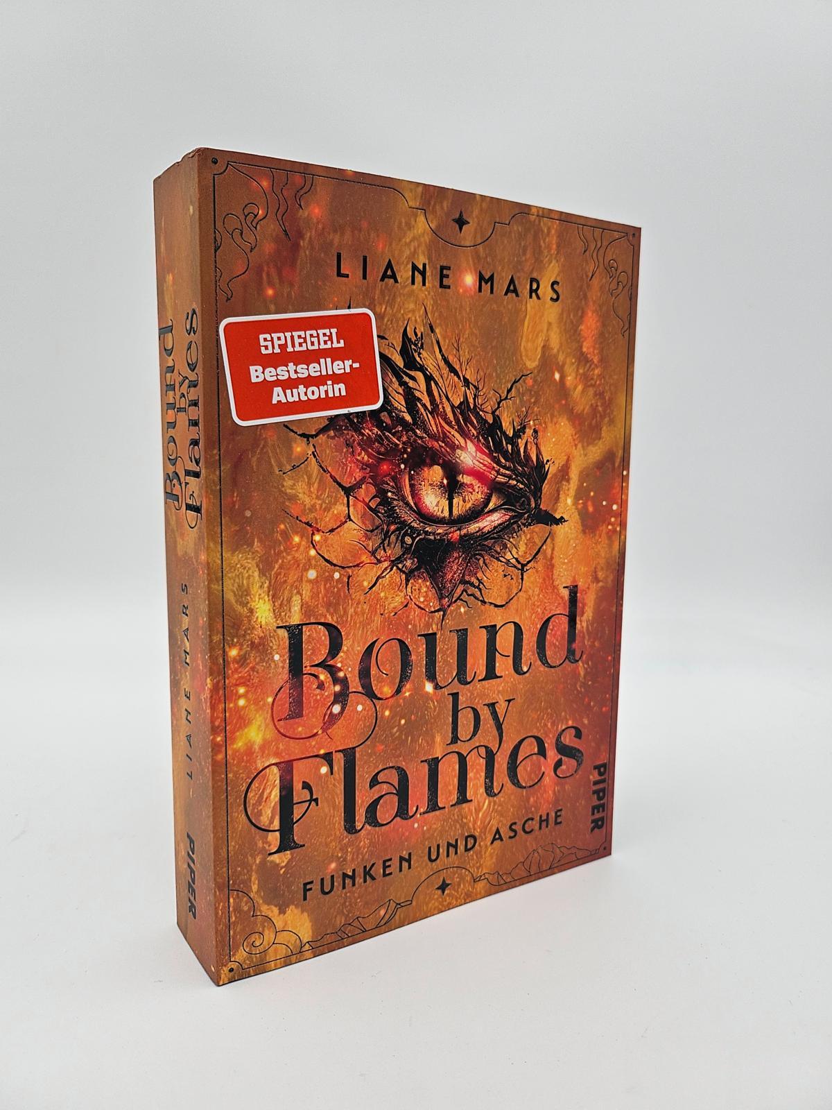 Beispielinhalt (Bild) Bound by Flames