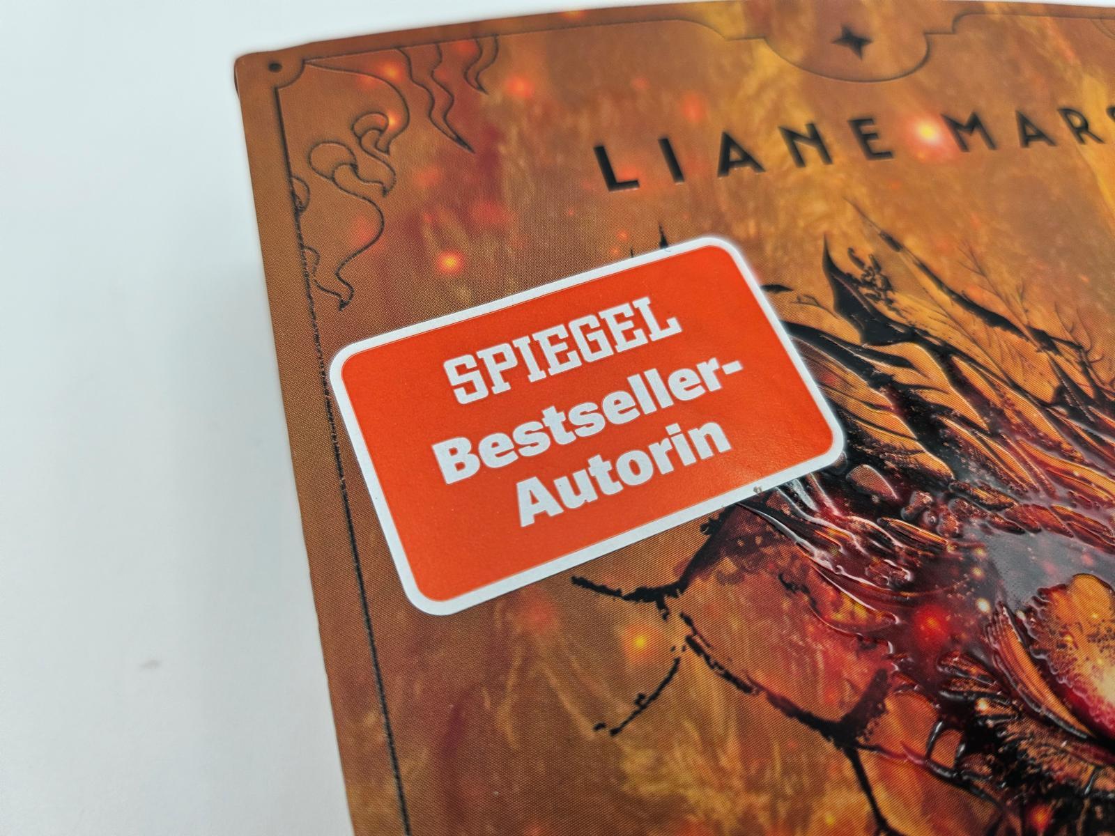 Beispielinhalt (Bild) Bound by Flames