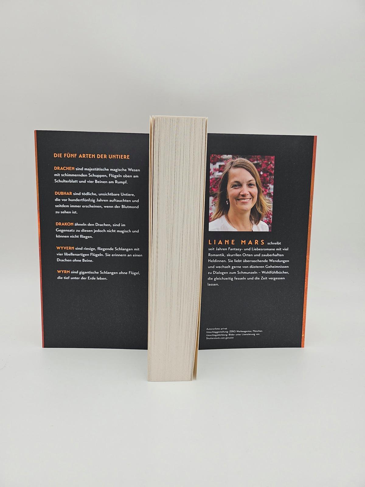 Beispielinhalt (Bild) Bound by Flames