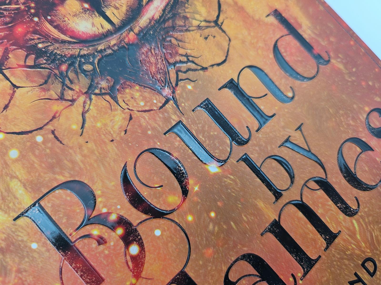 Beispielinhalt (Bild) Bound by Flames