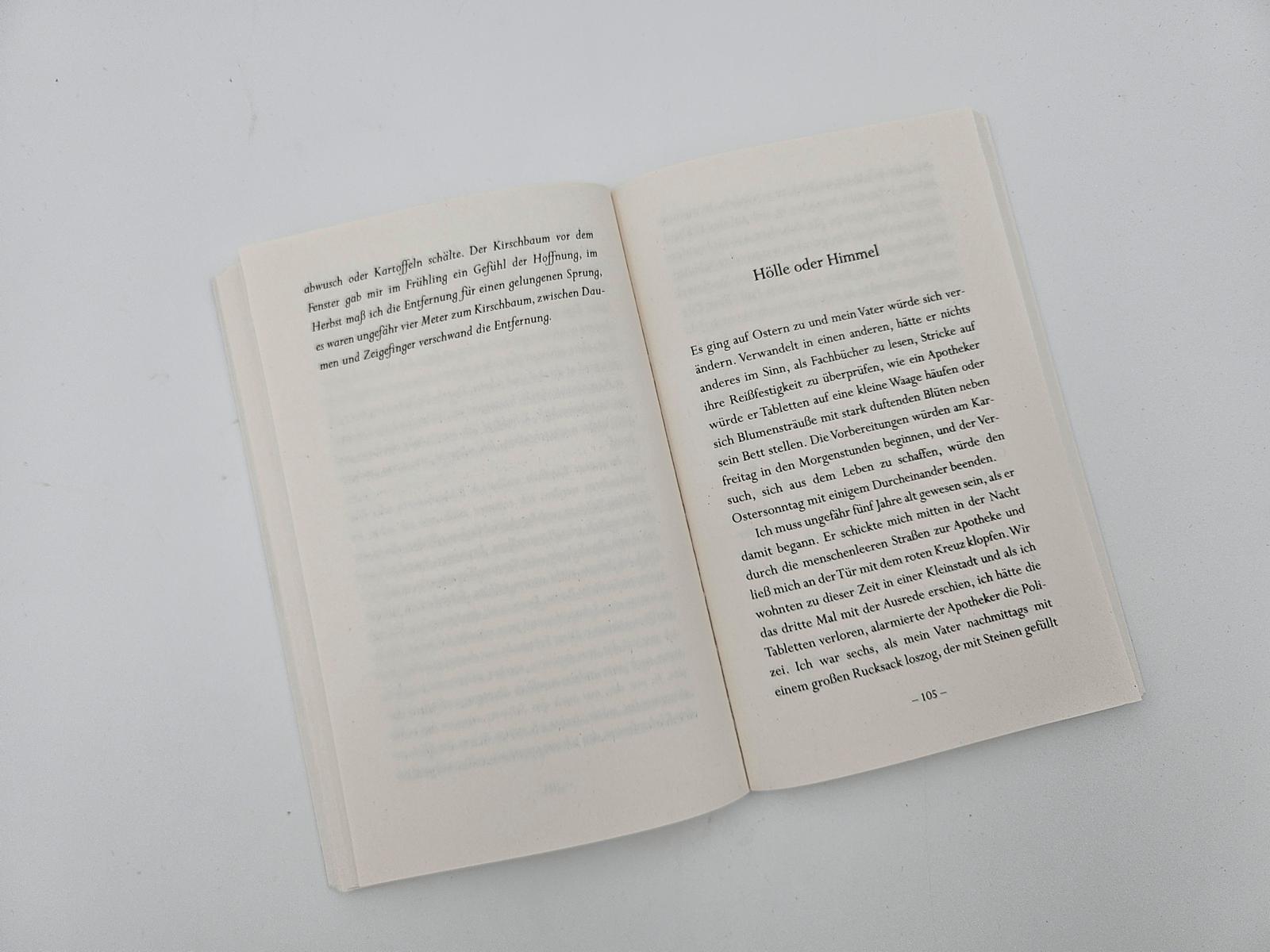 Beispielinhalt (Bild) Risse