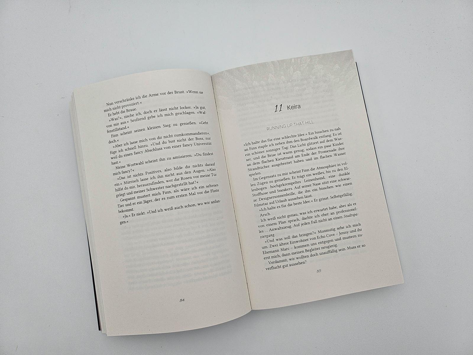 Beispielinhalt (Bild) Kodiak Echoes - Hide me