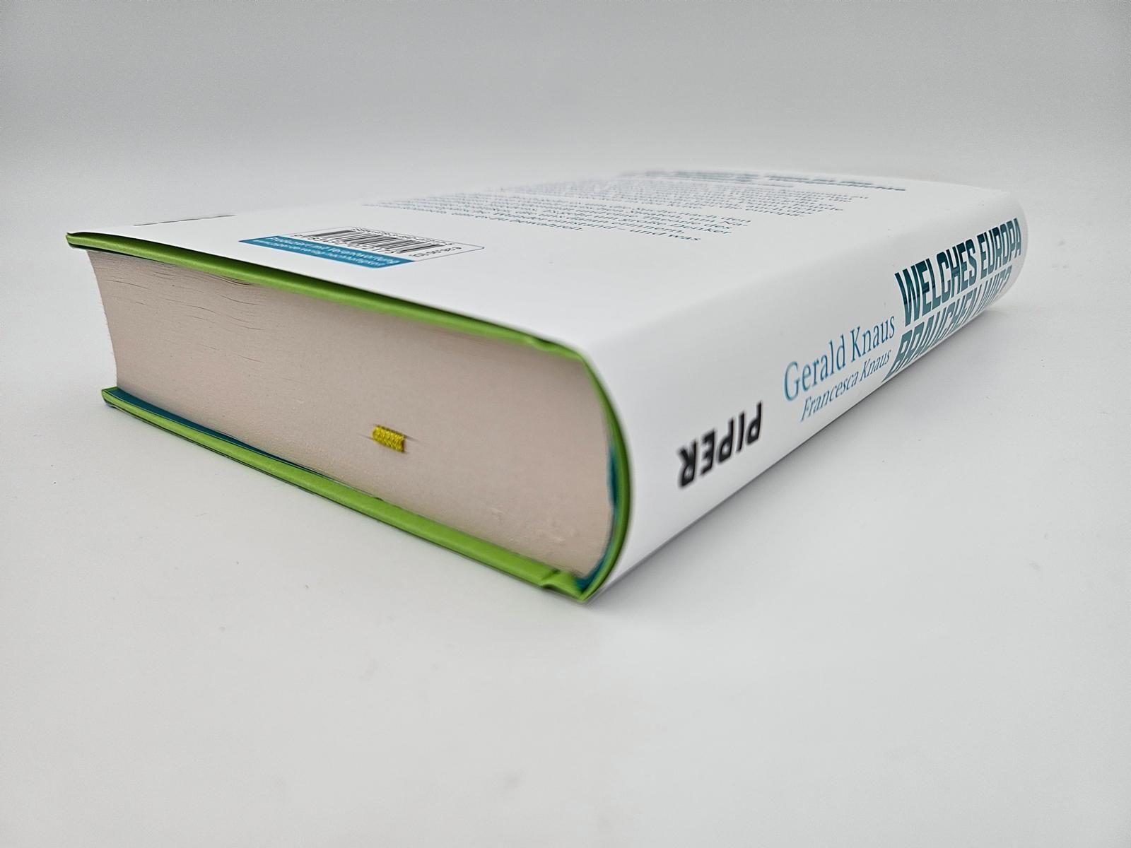 Beispielinhalt (Bild) Welches Europa brauchen wir?